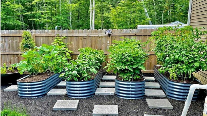 For Growing Your Plants