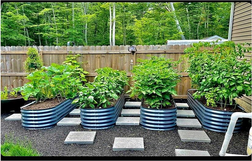 Get a Raised Garden Bed From Vego Garden For Growing Your Plants