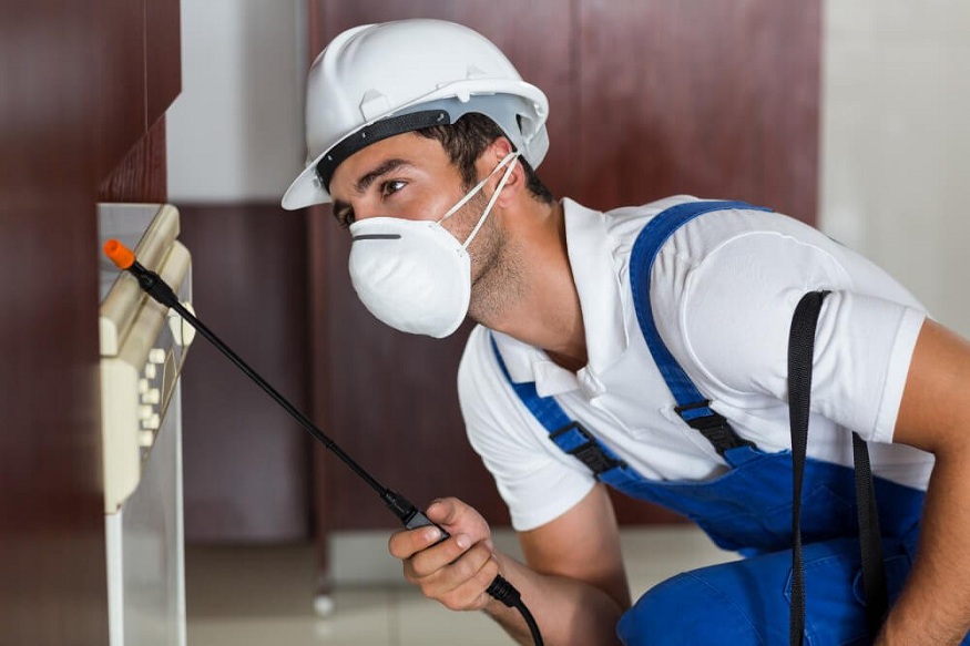 Why is it advisable to hire experts for pest control rather than doing it on your own?