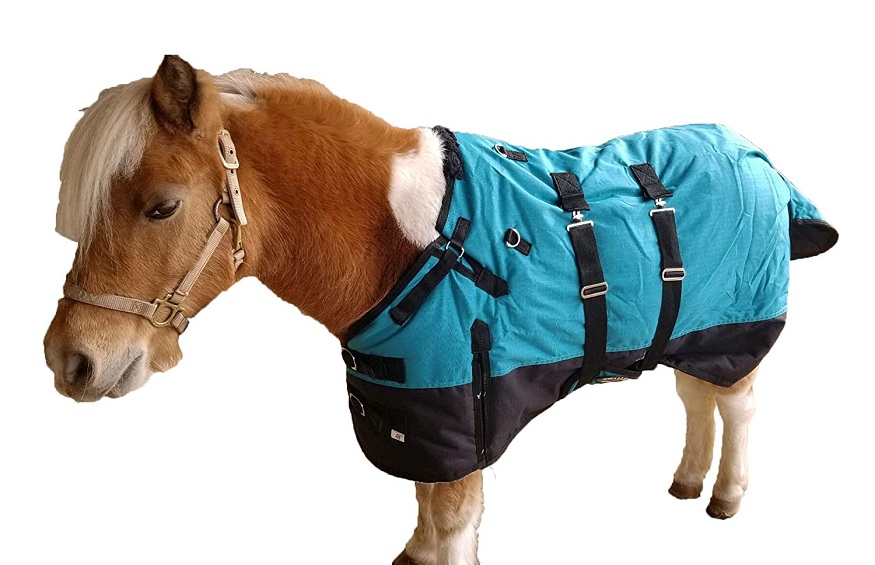 4 Things to Know When Buying Horse Blankets