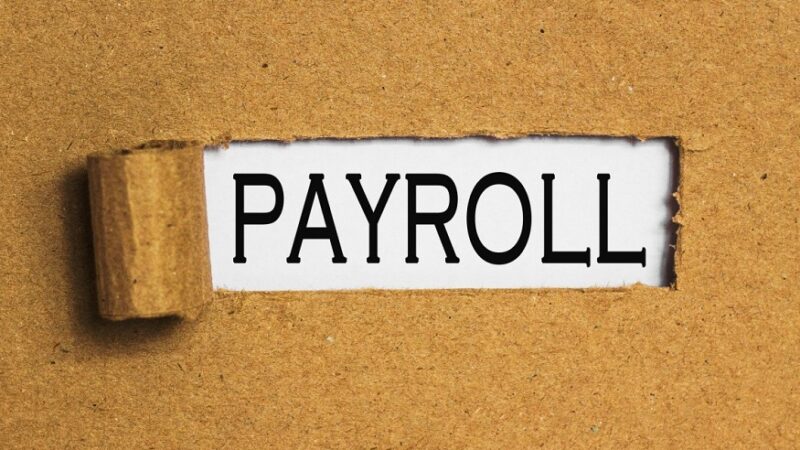 Using Payroll Services for Your Business